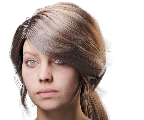 images/download/attachments/38571306/VrayHairMtl2_Emily_docs_ior.0003_copy.jpg