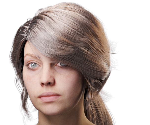 images/download/attachments/38571306/VrayHairMtl2_Emily_docs_ior.0004_copy.jpg