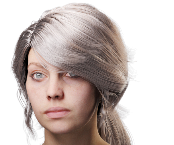 images/download/attachments/38571306/VrayHairMtl2_Emily_docs_ior.0008_copy.jpg