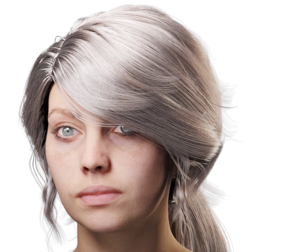 images/download/attachments/38571306/VrayHairMtl2_Emily_docs_ior.0009_copy.jpg
