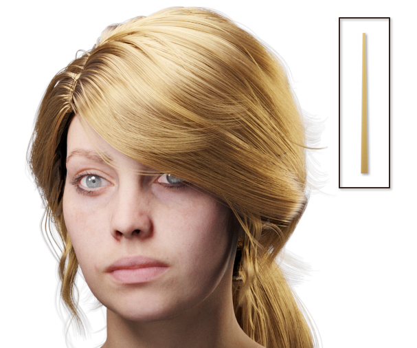 images/download/attachments/38571306/VrayHairMtl2_Emily_docs_softness.0010_copy.jpg