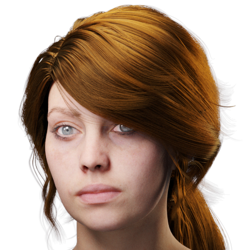 images/download/attachments/38571306/VrayHairMtl2_Emily_docs_tint.0002_copy.jpg