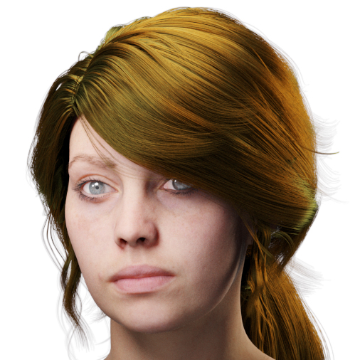 images/download/attachments/38571306/VrayHairMtl2_Emily_docs_tint.0003_copy.jpg