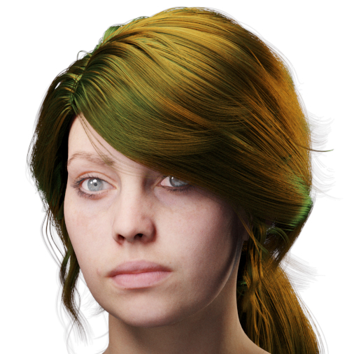 images/download/attachments/38571306/VrayHairMtl2_Emily_docs_tint.0004_copy.jpg