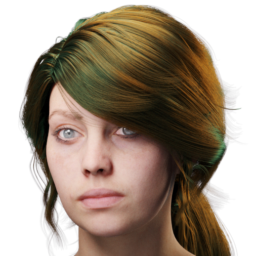 images/download/attachments/38571306/VrayHairMtl2_Emily_docs_tint.0005_copy.jpg