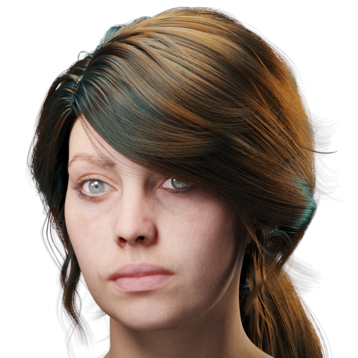 images/download/attachments/38571306/VrayHairMtl2_Emily_docs_tint.0006_copy.jpg