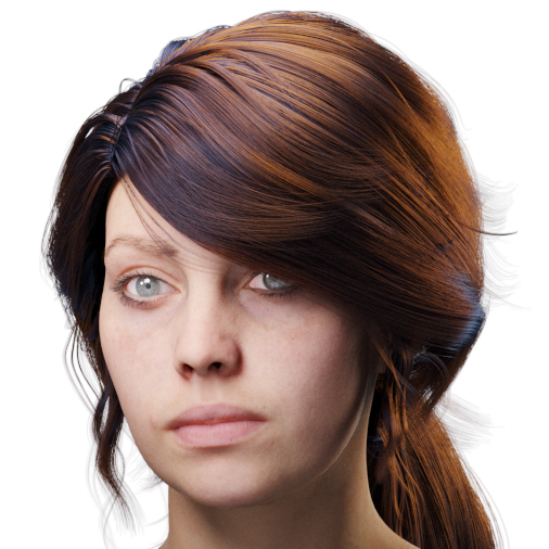 images/download/attachments/38571306/VrayHairMtl2_Emily_docs_tint.0007_copy.jpg