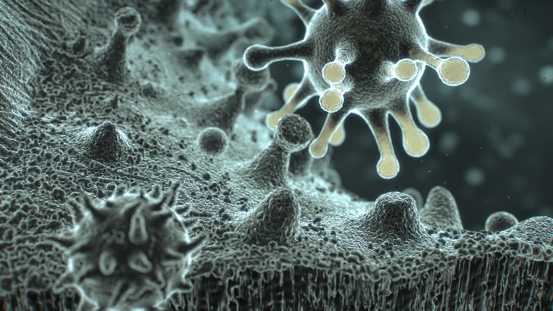 images/download/attachments/38572013/Metaballs_Organic.jpg