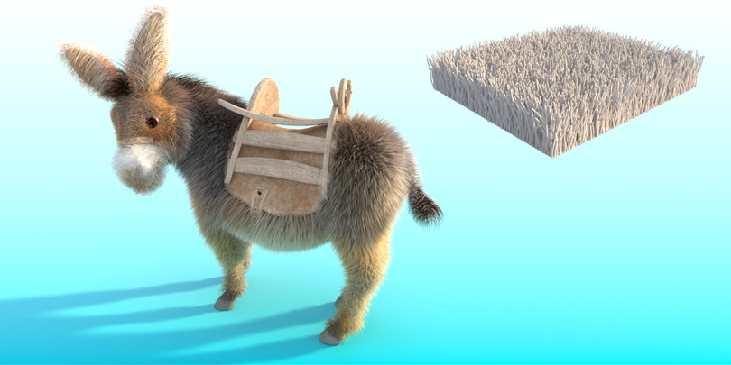 images/download/attachments/38572158/Donkey_bend0003.jpg