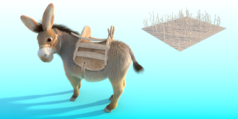 images/download/attachments/38572158/Donkey_curl_radius0001.jpg