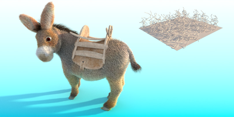 images/download/attachments/38572158/Donkey_curl_radius0010.jpg