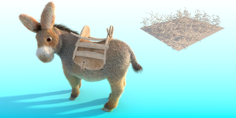 images/download/attachments/38572158/Donkey_curl_radius0012.jpg