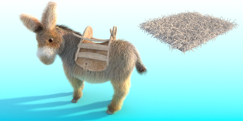 images/download/attachments/38572158/Donkey_gravity0001.jpg