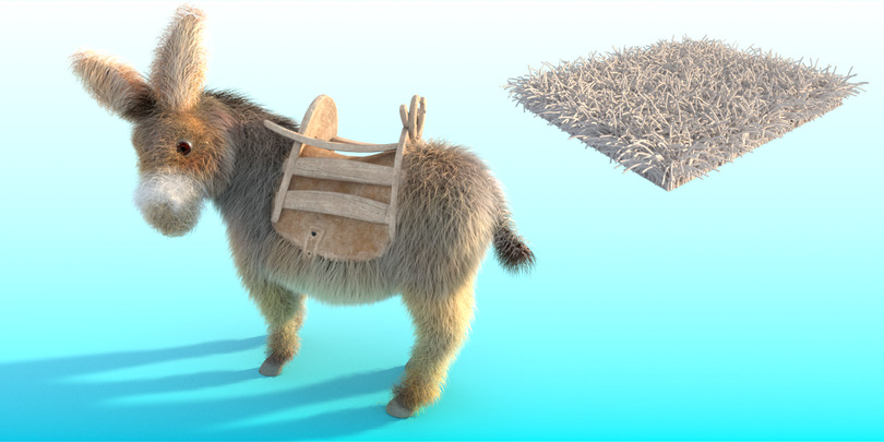images/download/attachments/38572158/Donkey_gravity0003.jpg