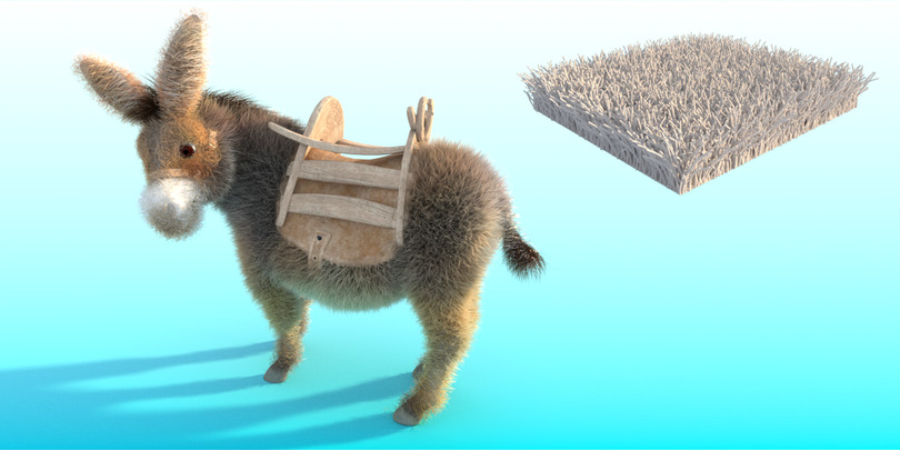 images/download/attachments/38572158/Donkey_gravity0007.jpg