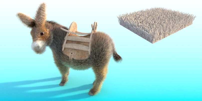 images/download/attachments/38572158/Donkey_gravity0009.jpg