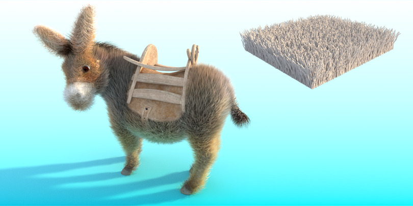 images/download/attachments/38572158/Donkey_gravity0010.jpg
