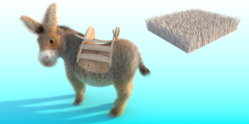 images/download/attachments/38572158/Donkey_gravity0012.jpg