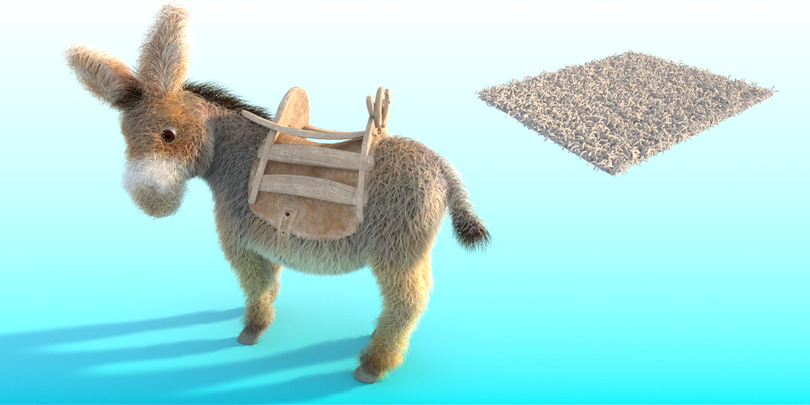 images/download/attachments/38572158/Donkey_lenght0001.jpg