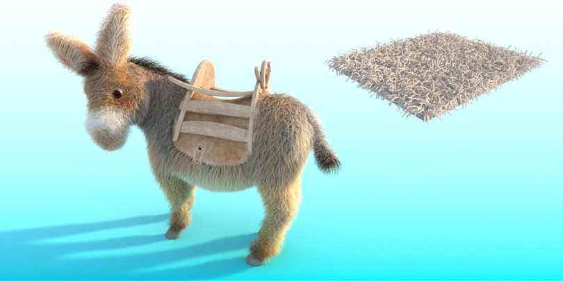 images/download/attachments/38572158/Donkey_lenght0003.jpg