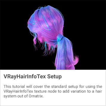 images/download/attachments/38572431/HairTex.jpg